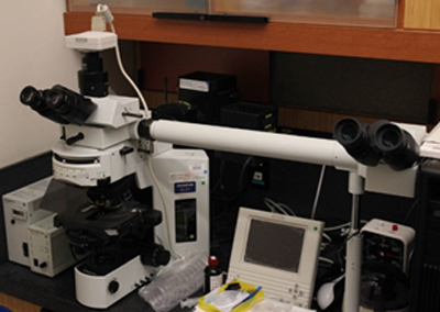 Widefield Microscope Oist Groups