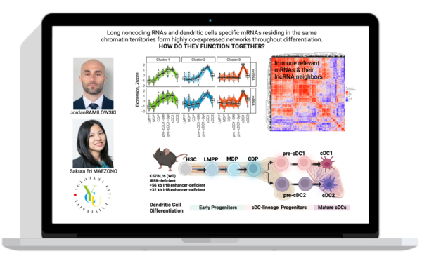 Understanding Long Non-Coding RNA Function: Current Knowledge and Challenges Ahead