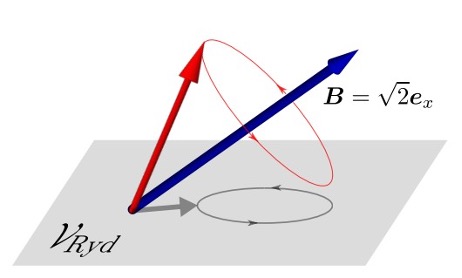Mr. Keita Omiya "Physics and Mathematics of Quantum Many-Body Scars"