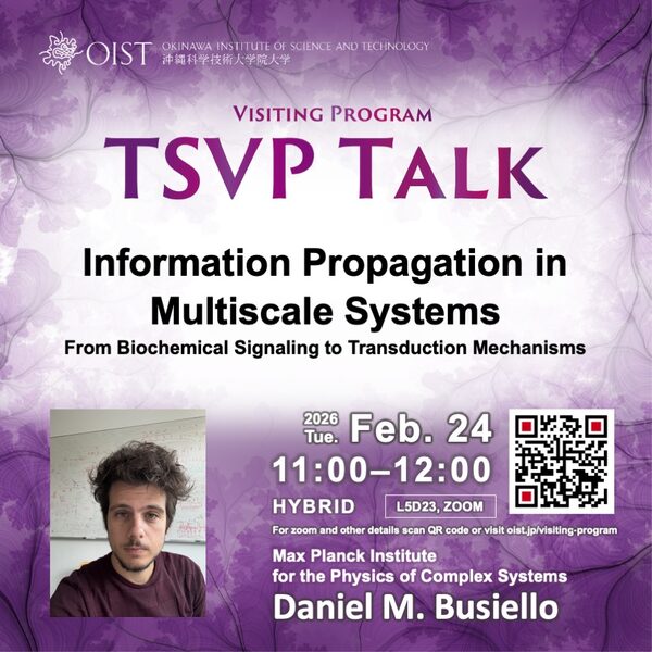 TSVP Talk: "Information Propagation in Multiscale Systems, From Biochemical Signaling to Transduction Mechanisms" by Daniel Busiello