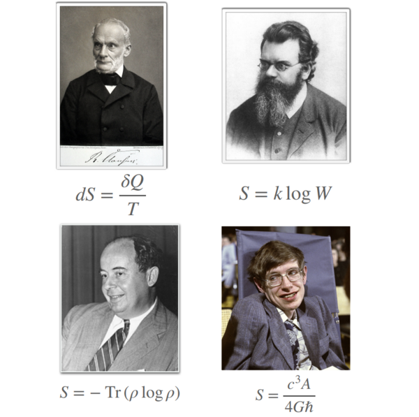 Mini Course: Okinawa Lectures on Entropy