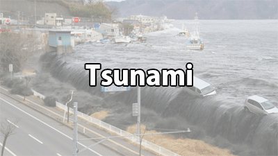 Go to Tsunami information