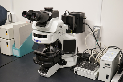 Widefield microscope | OIST Groups