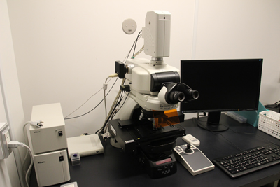 Widefield microscope | OIST Groups