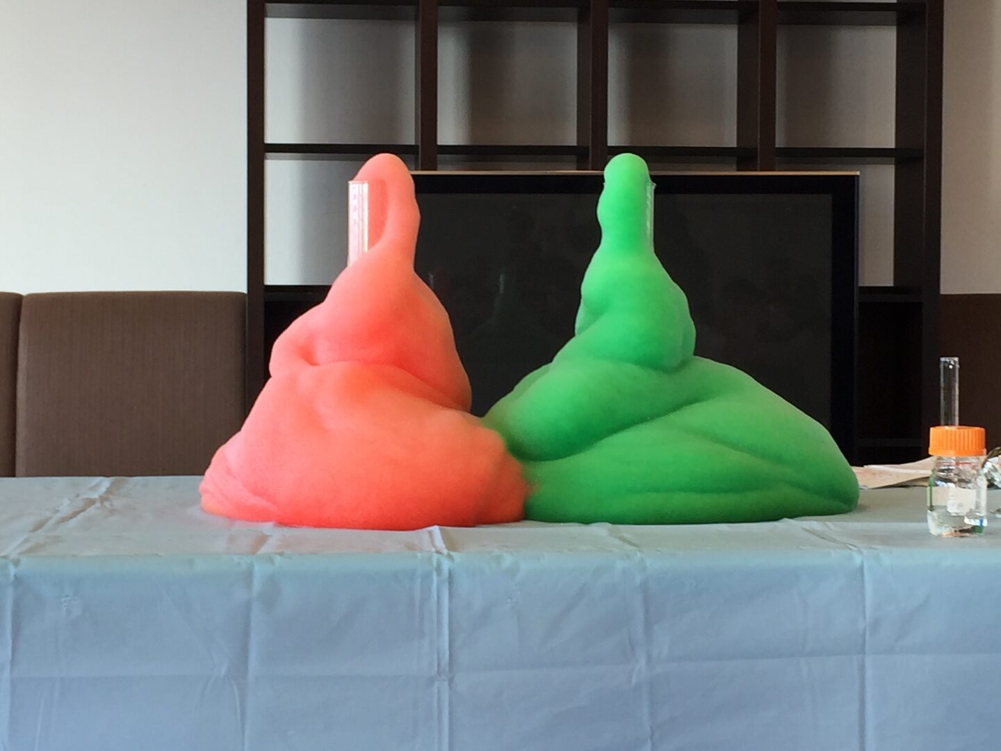 Science Friday サイエンスフライデー OIST Groups