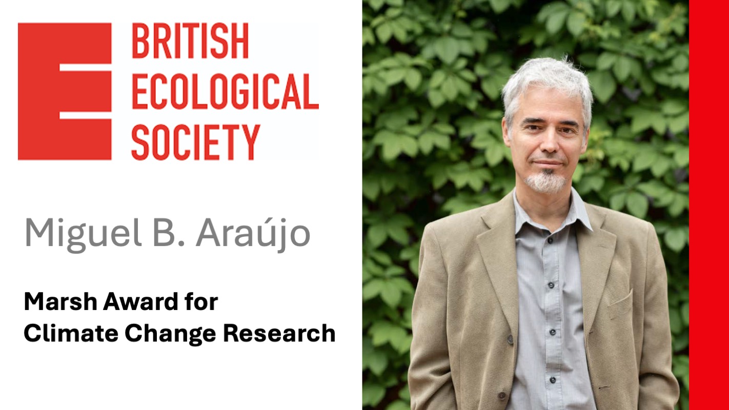 Miguel Araujo Marsh prize