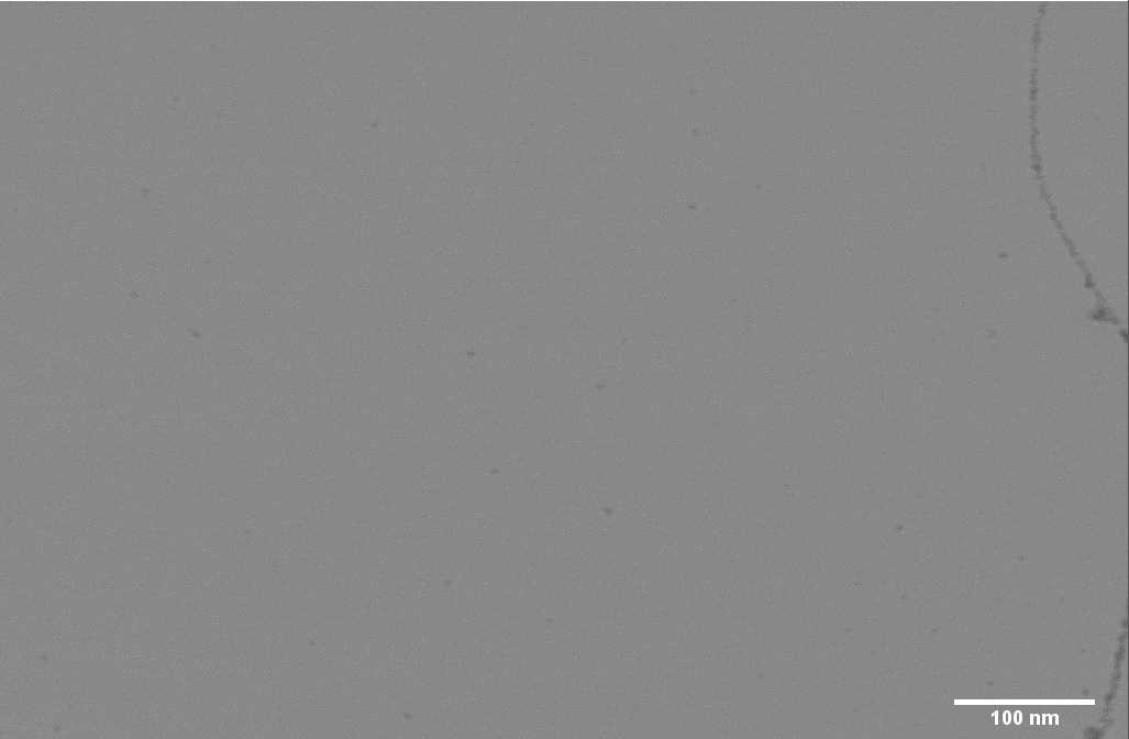 10 kV scanning transmission electron microscope (STEM) image of the graphene support film.