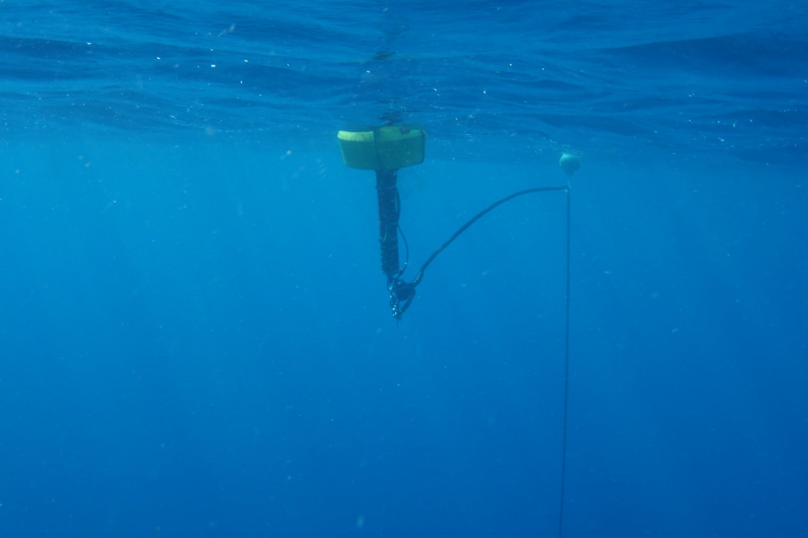 Okinawa Sea water temperature monitoring,沖縄リアルタイム海水温観測（2013.01.11