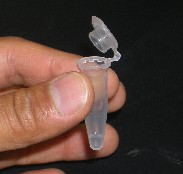 Micro tube