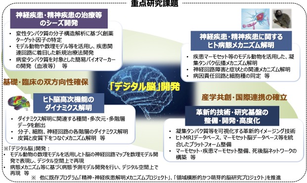 Brain/MINDS2.0outline