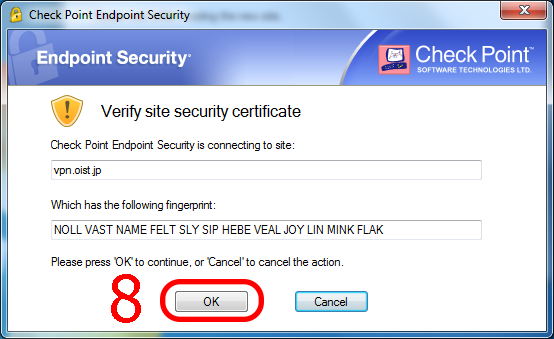 endpoint security check point