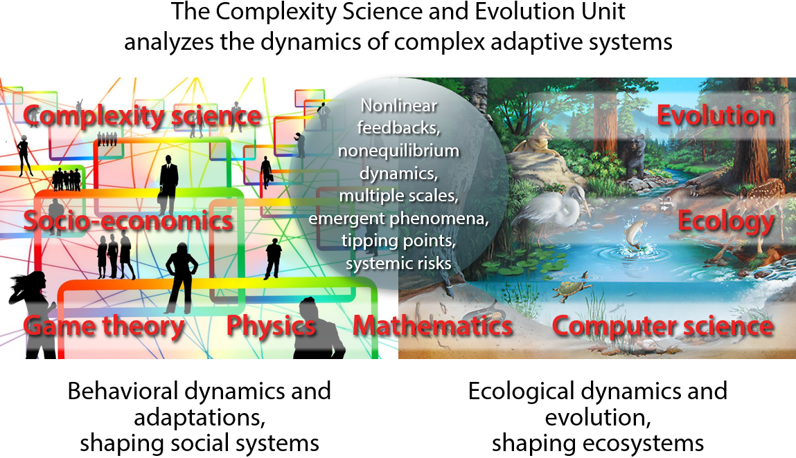How the unit combines complexity science, socio-economics, game theory, physics, mathematics, computer science, ecology, evolution, nonlinear feedbacks, nonequilibrium dynamics, multiple scales, emergent phenomena, tipping points, systemic risks