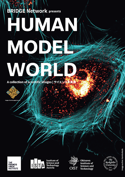 BRIDGEネットワーク プレゼンツサイエンス写真展「HUMAN – MODEL – WORLD」