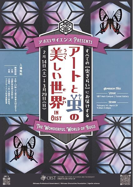 アートと虫の美しい世界 in OIST