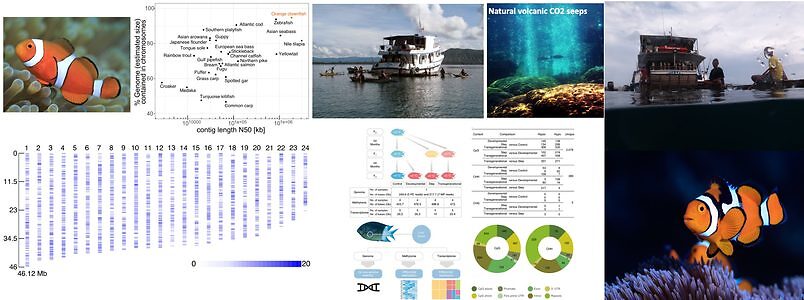 Marine Climate Change Unit (Timothy Ravasi) | OIST Groups